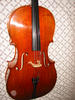 cello body